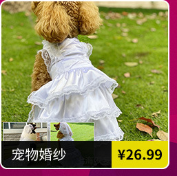 大量批發寵物衣架 寵物用品 衣架一套(10個)塑料狗狗衣架