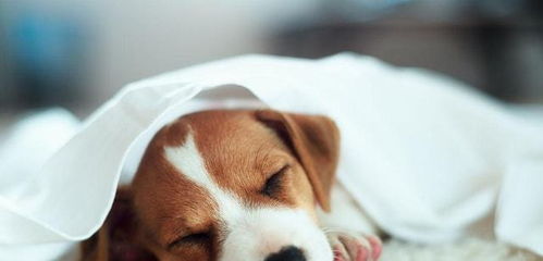 網(wǎng)購(gòu)要知道避雷, 5類 商品去實(shí)體店買更好,不要貪便宜而吃虧