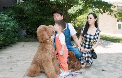 狗狗當(dāng)“家教” 萌寵叼衣架監(jiān)督小主人寫作業(yè)，神似操心老母親